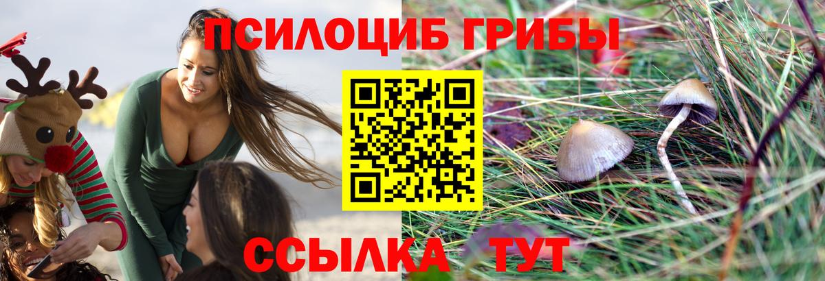 Псилоцибиновые грибы Psilocybine cubensis  Вход с VPN  Губкин 