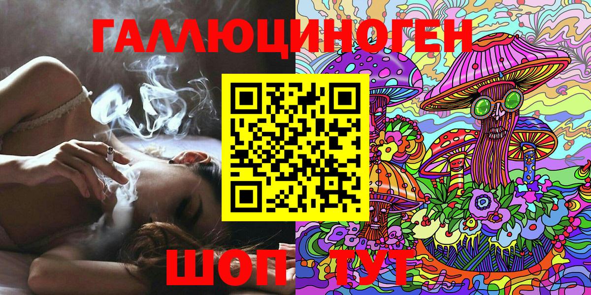 Псилоцибиновые грибы Psilocybine cubensis Губкин