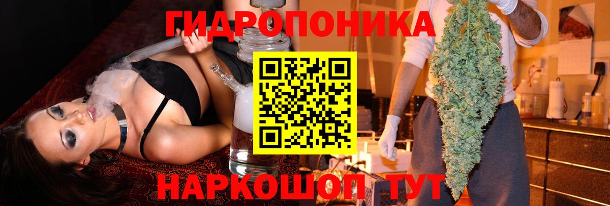 Каннабис индика  Марихуана марихуана  Марихуана марихуана  Каннабис гибрид  Вход с VPN  Губкин 